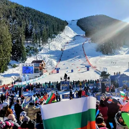 شقة View Emerald *